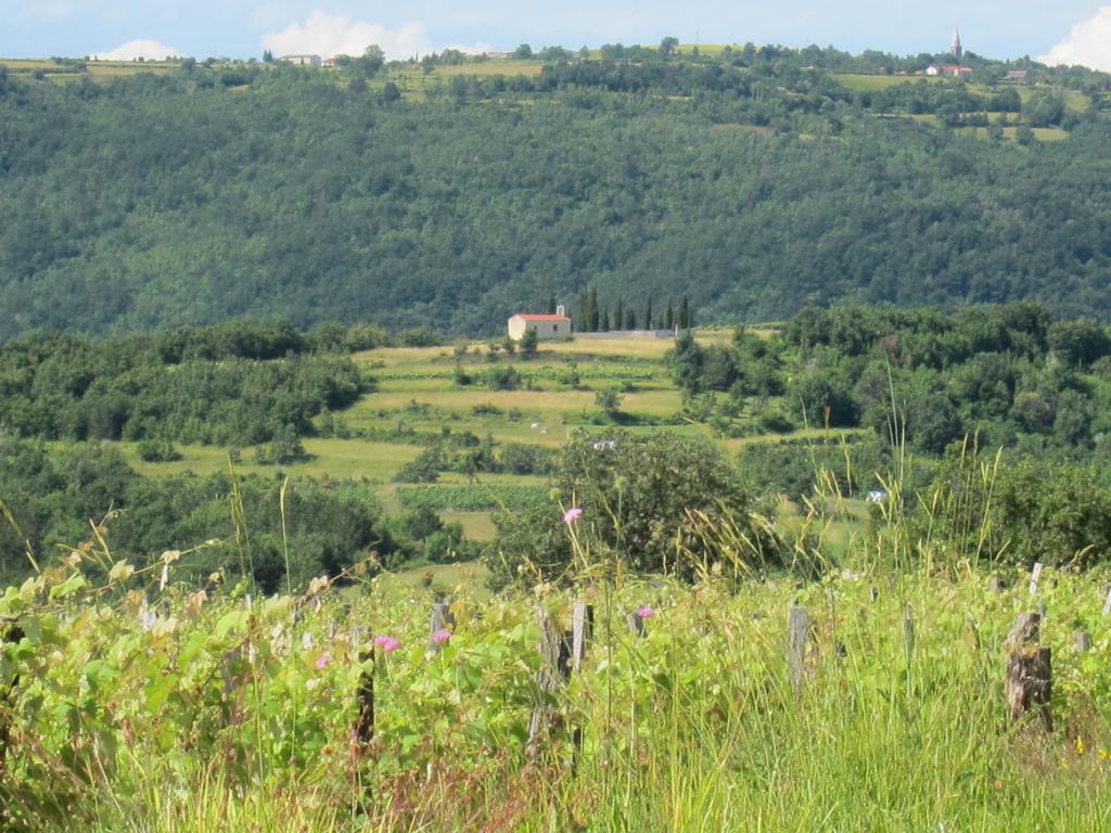 Flori Adriatic Villa Marezige Værelse billede