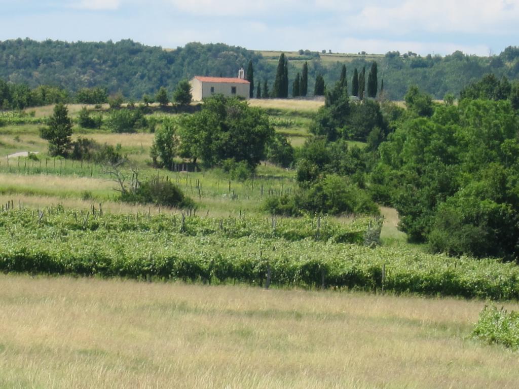 Flori Adriatic Villa Marezige Værelse billede